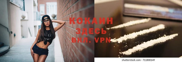 ешки Гусев