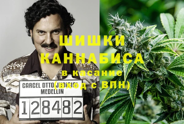 дурь Гусь-Хрустальный