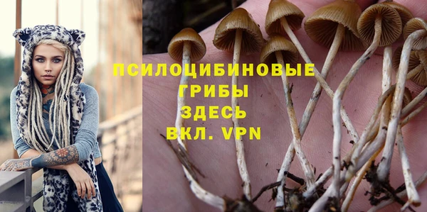 дурь Гусь-Хрустальный