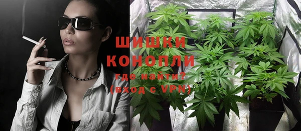винт Гусиноозёрск