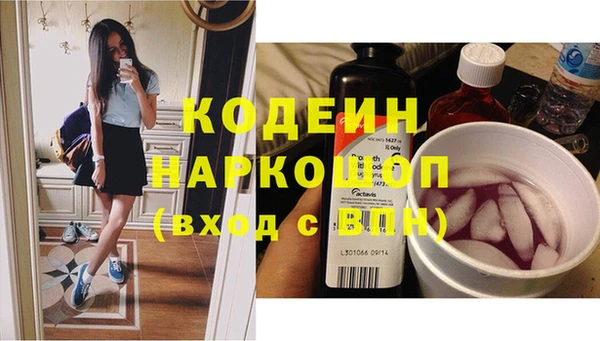 ешки Гусев