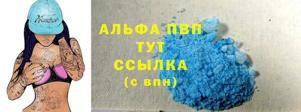 ешки Гусев