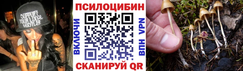 KRAKEN   Саянск  Галлюциногенные грибы ЛСД 