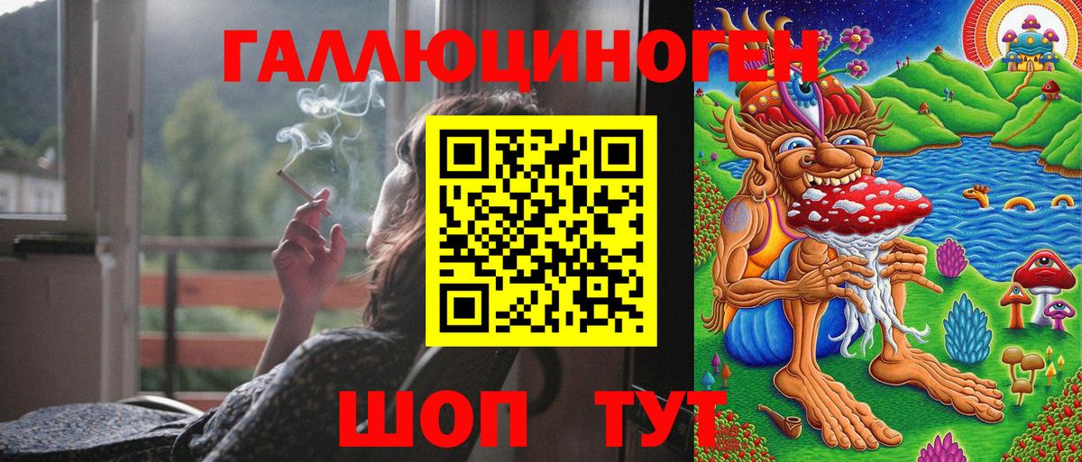 Псилоцибиновые грибы Psilocybine cubensis Саянск